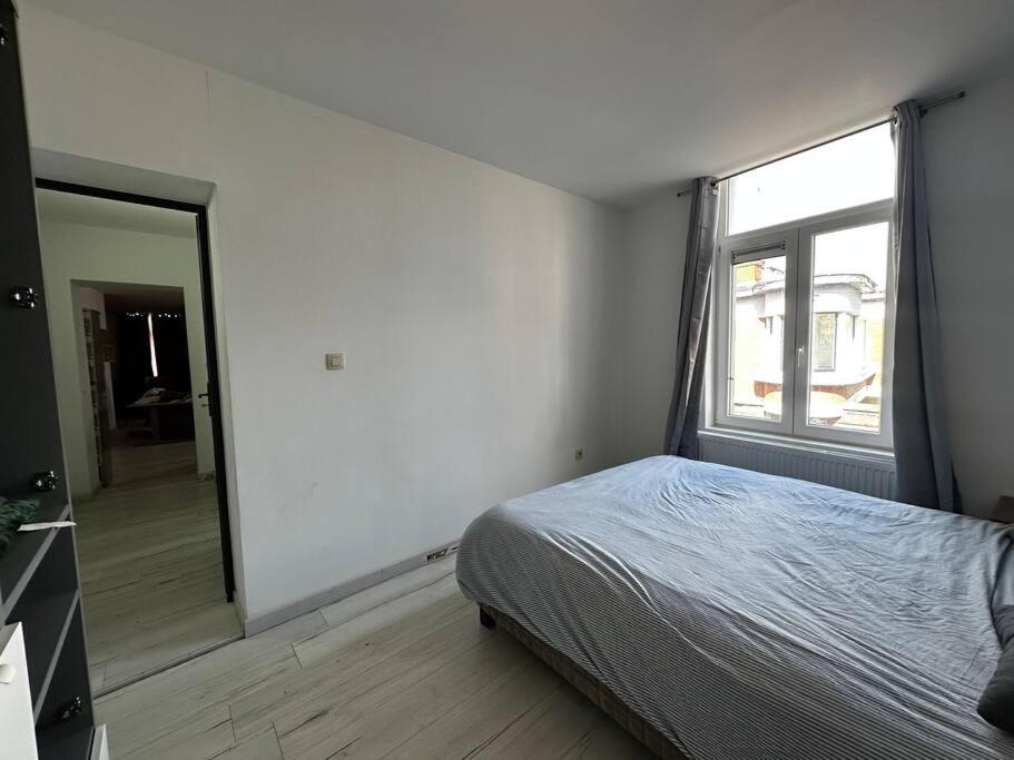 Grand Appartement cosy et lumineux