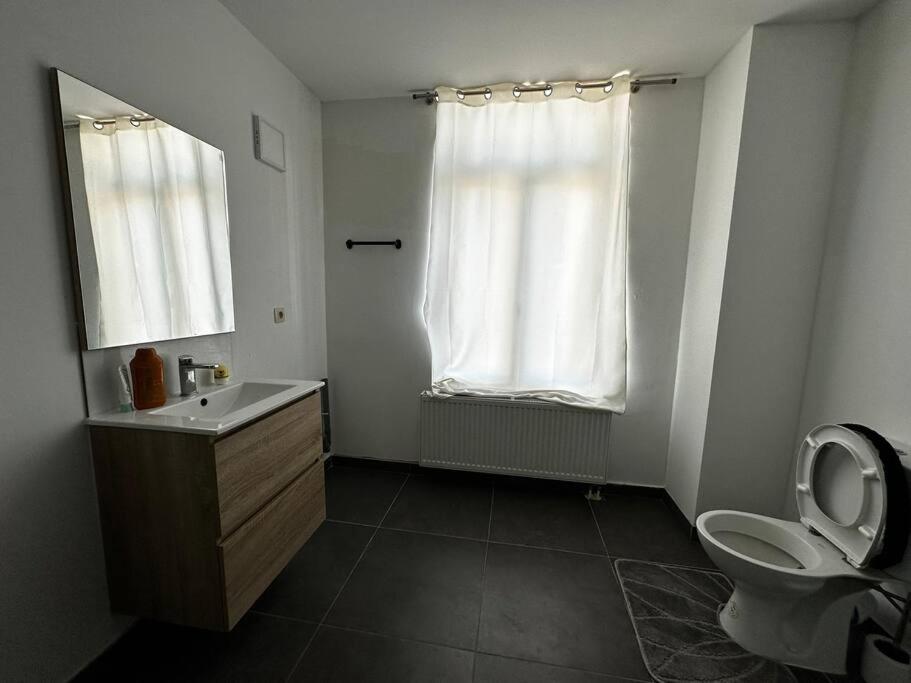Grand Appartement cosy et lumineux
