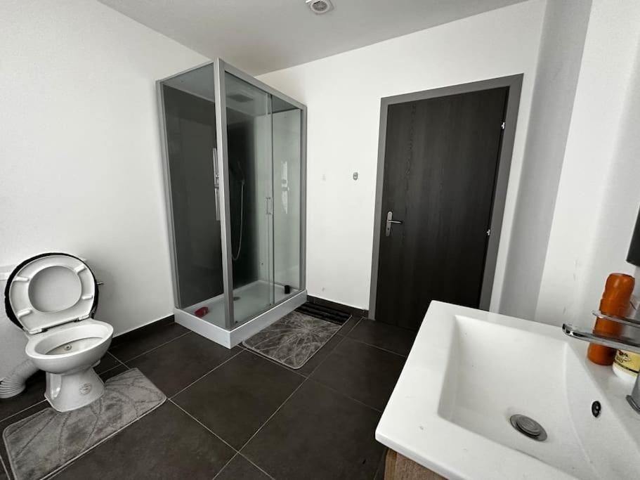 Grand Appartement cosy et lumineux
