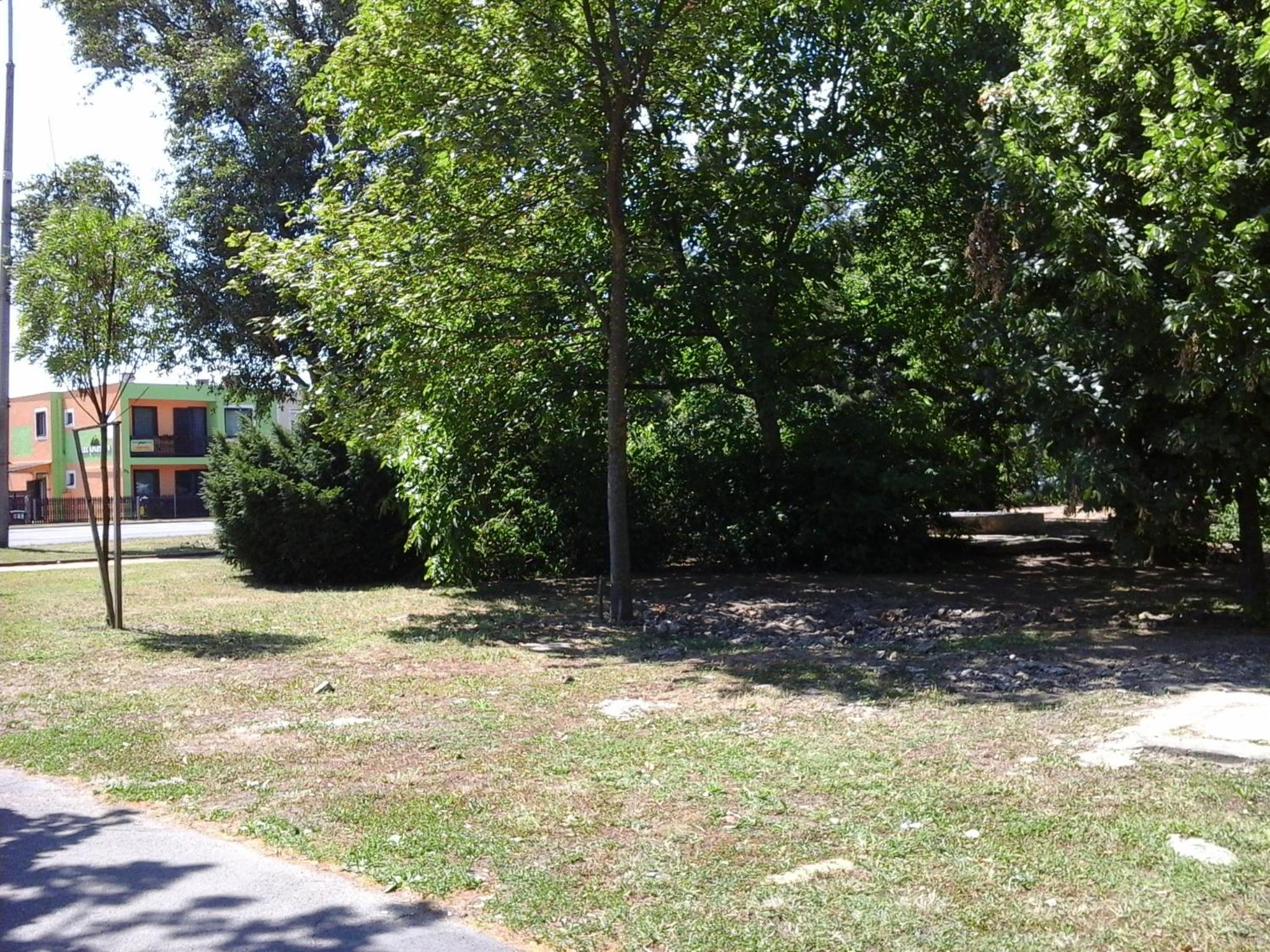 Photo 48