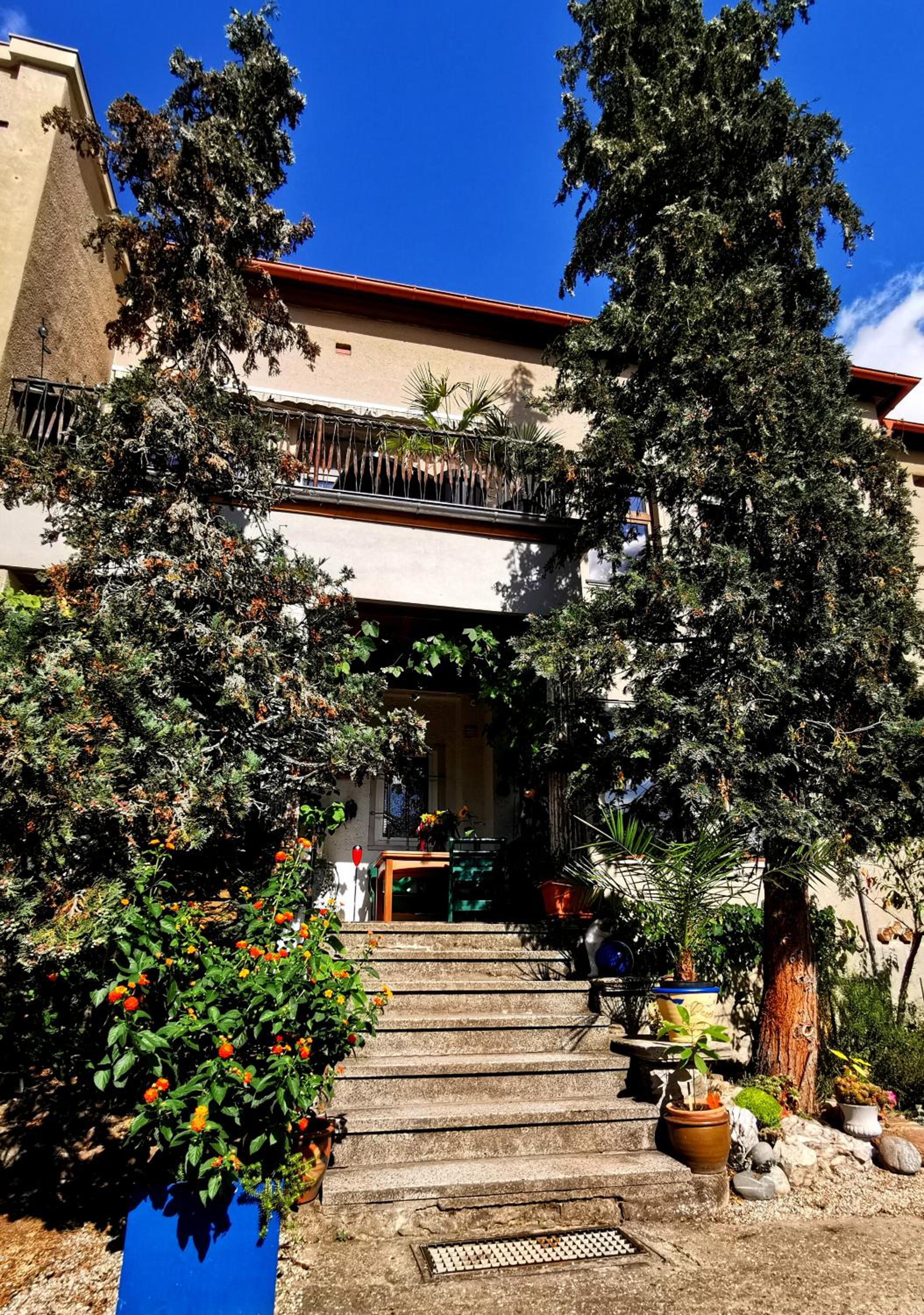 Ferienwohnung Auf dem Georgenberg - Property Image 23