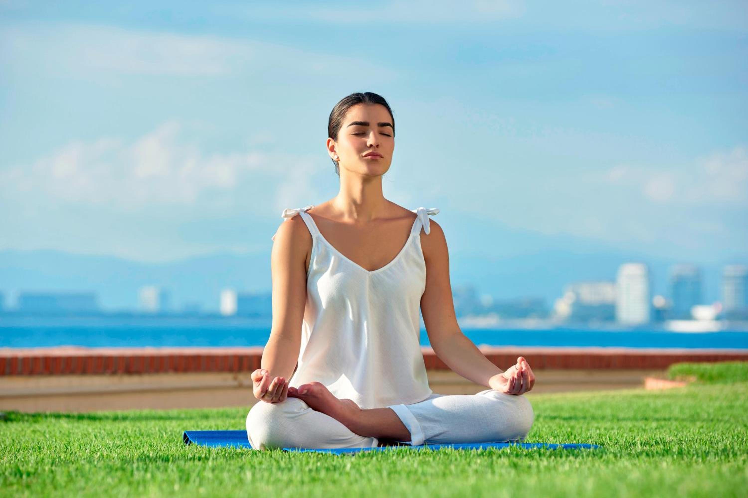 Puerto Vallarta Vacations - Sheraton Buganvilias Resort  Convention Center - Property Image 107