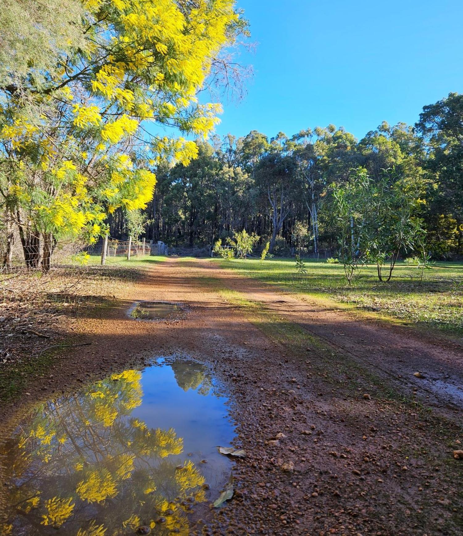 Forest Trails House, Dwellingup