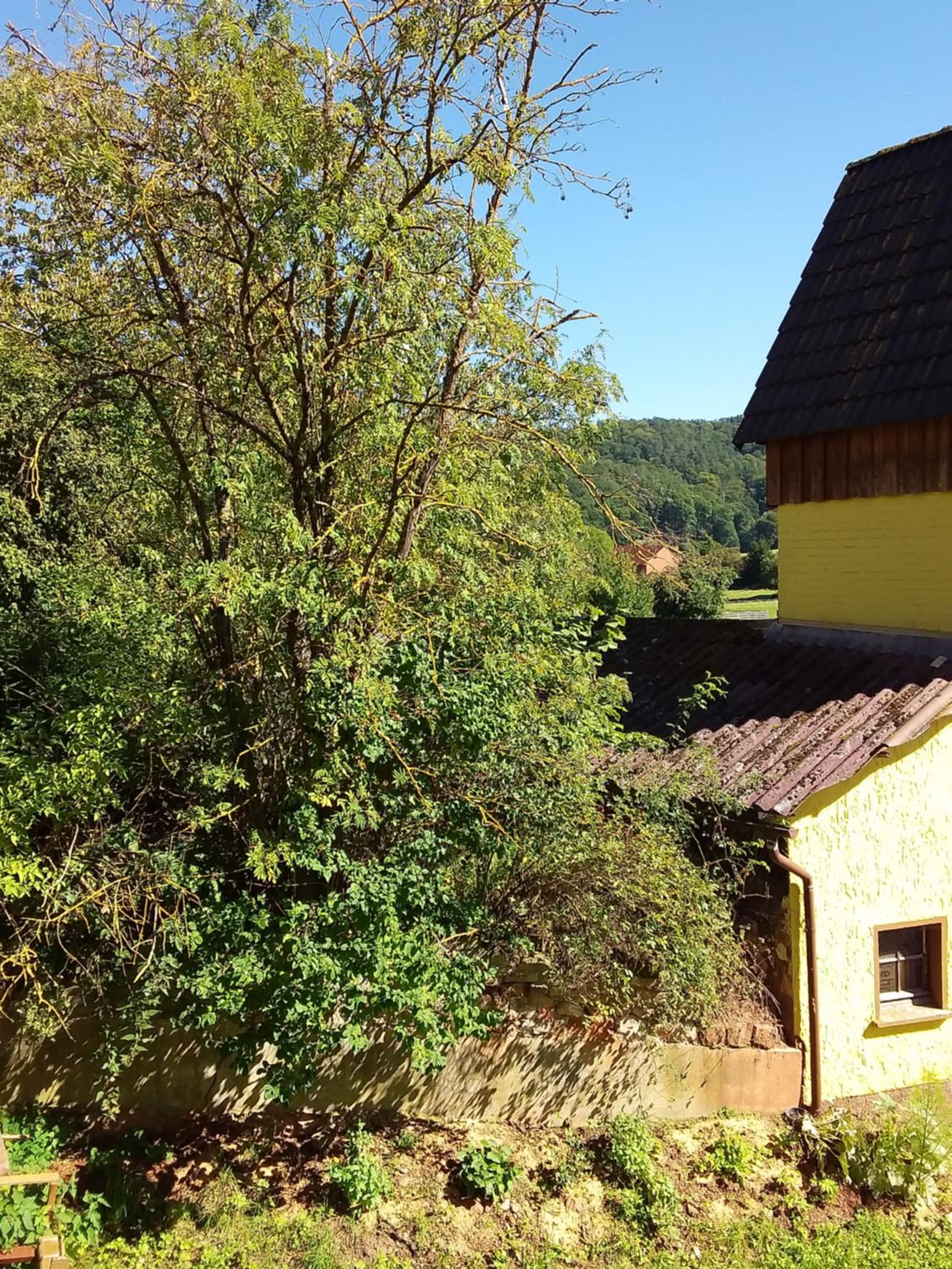Appartement an der Bicke