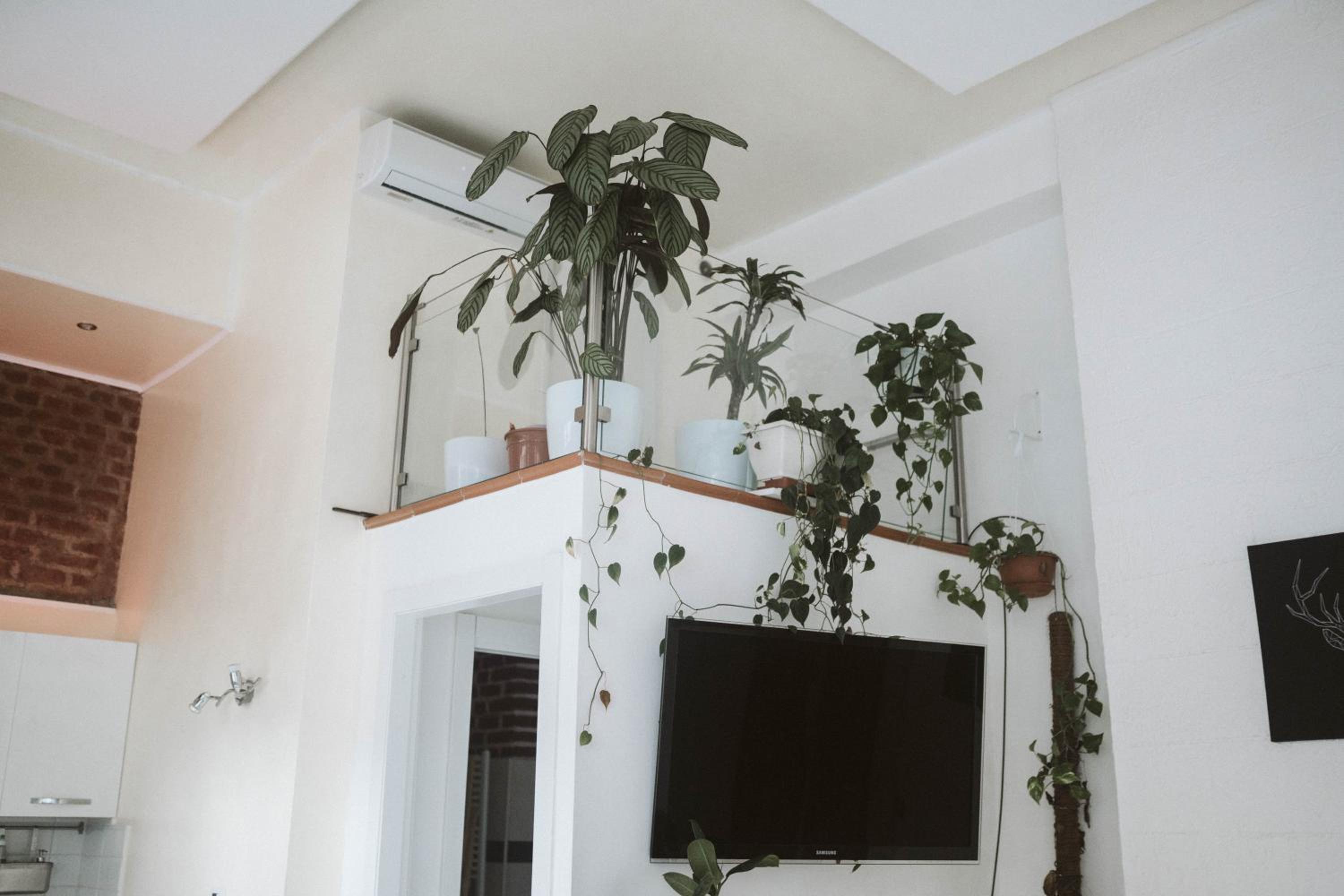 Luxury Loft - Milano Centrale