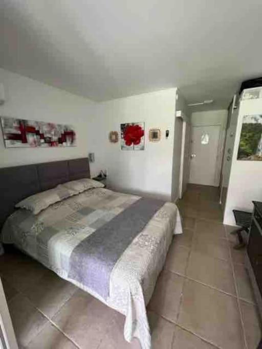 SUPERBE STUDIO COSY LES PIEDS DANS L'EAU view 2