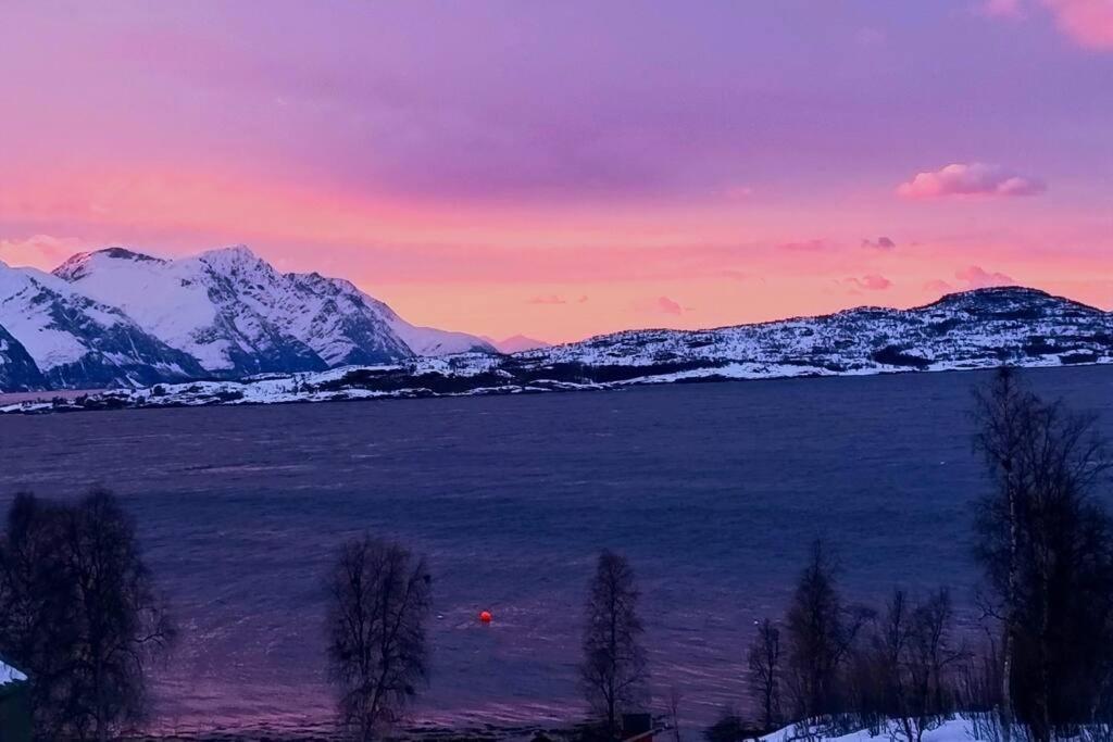 Hele utleiebolig Årøybuktneset