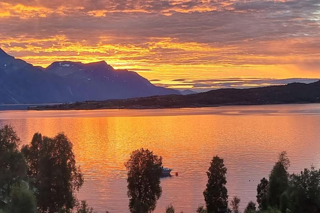 Hele utleiebolig Årøybuktneset