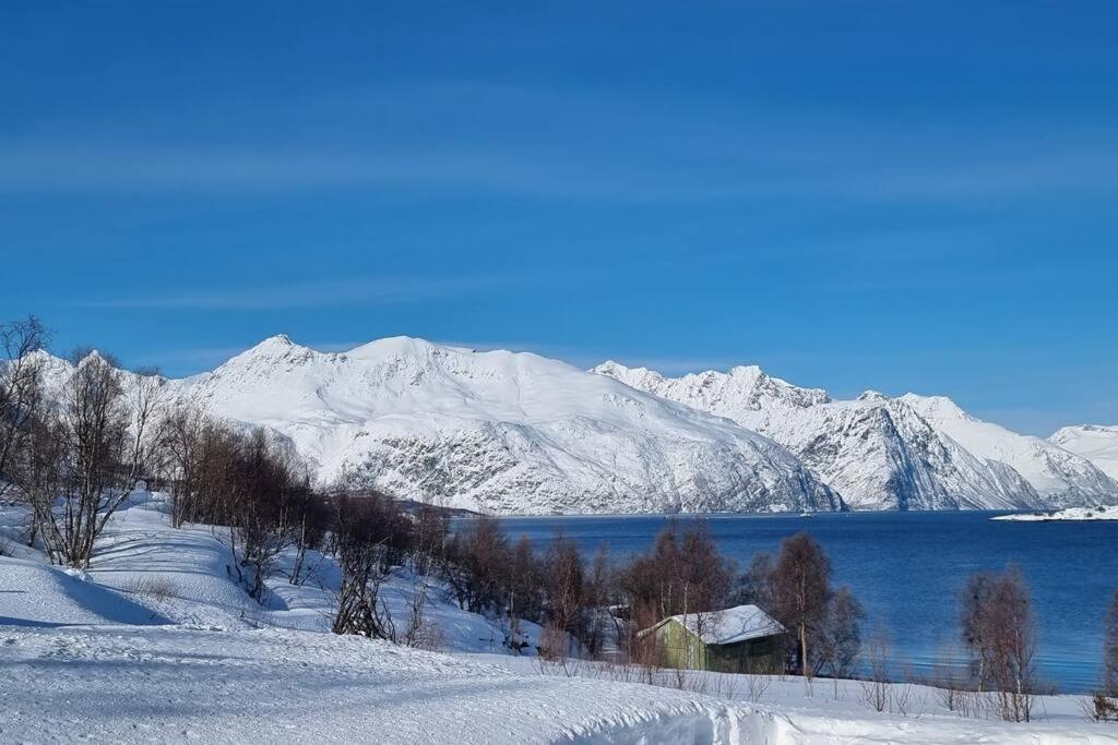 Hele utleiebolig Årøybuktneset