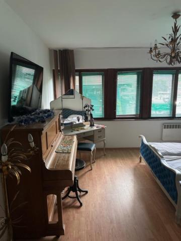 Hostel Scandic