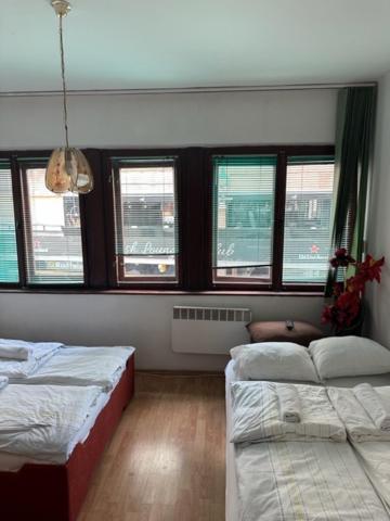 Hostel Scandic