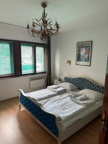 Hostel Scandic