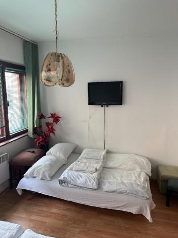 Hostel Scandic