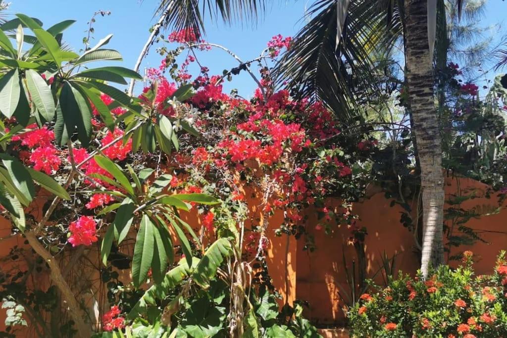 Beautiful house 5 minutes on foot to centre, Wi-Fi, parking, kitchen