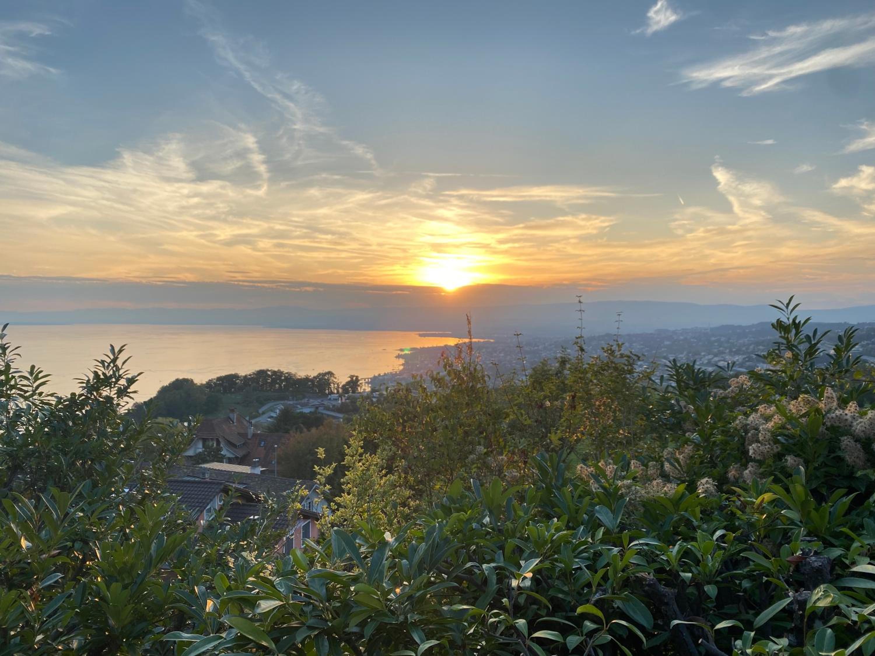 Lakeview Apartment-Lavaux
