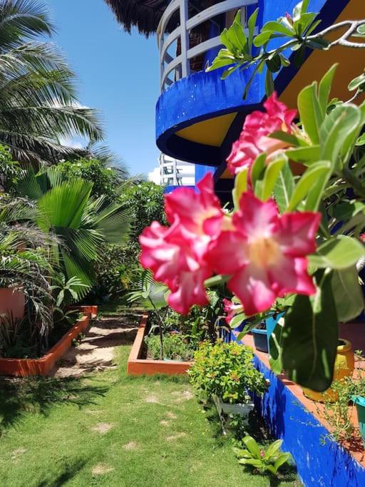 Mermaid House, kitchen, Wi-Fi, parking, centre 5 minutes on foot and near Sunset Dune