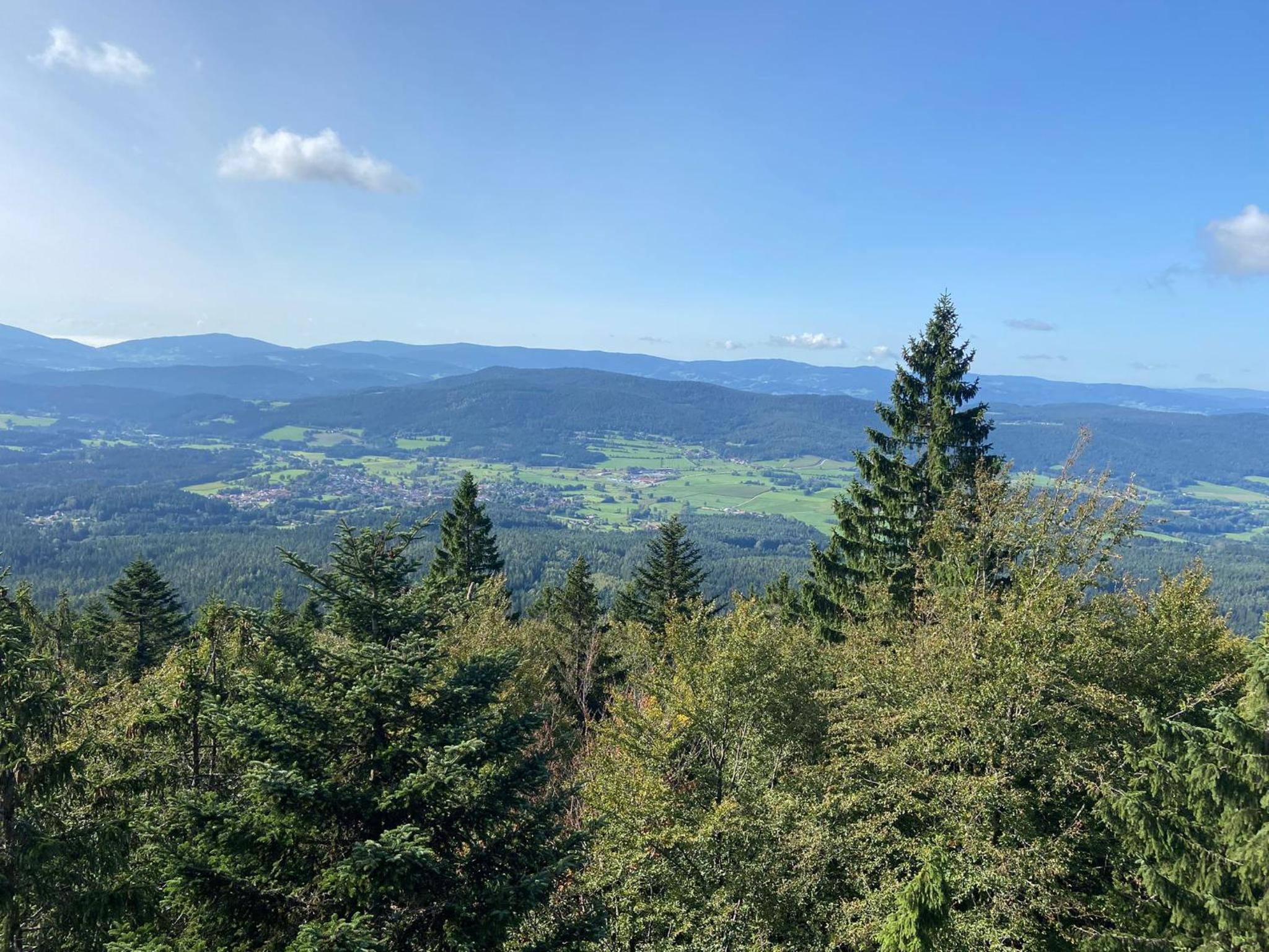 Landgasthof Brandtner Wirt - Property Image 20