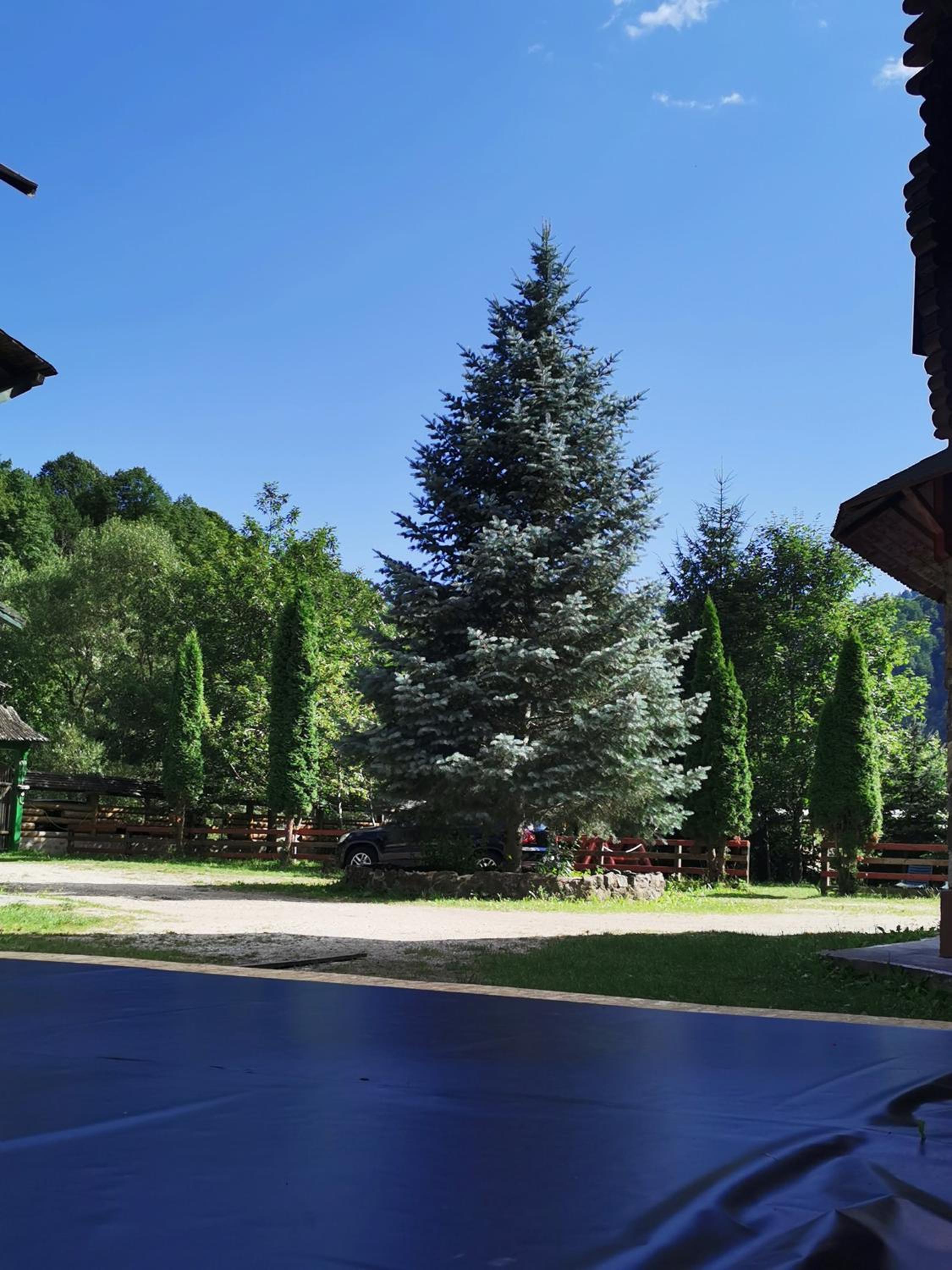 Cabană Piatra Lotrului, Voineasa view 4