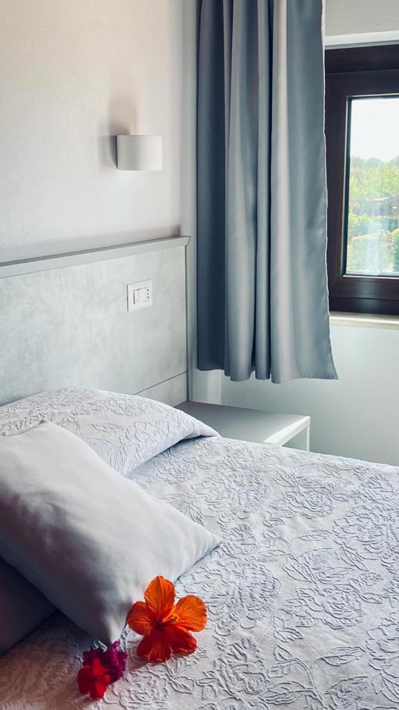 B&B Casale Pietrantica Tropea