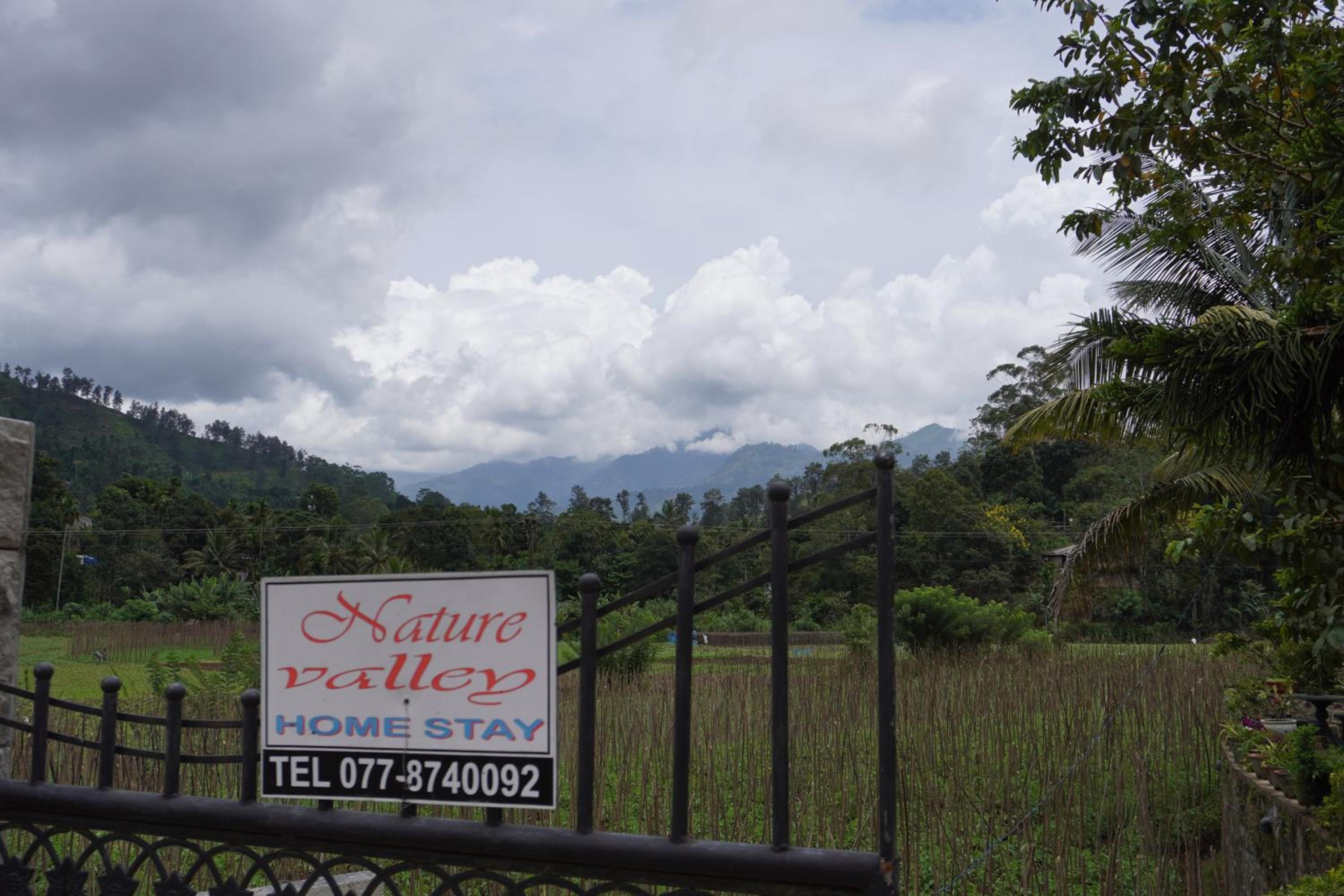 Ella Nature valley homestay view 5