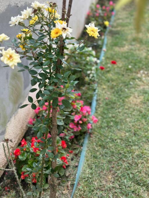 Apto da Felicidade - com jacuzzi e jardim privativo