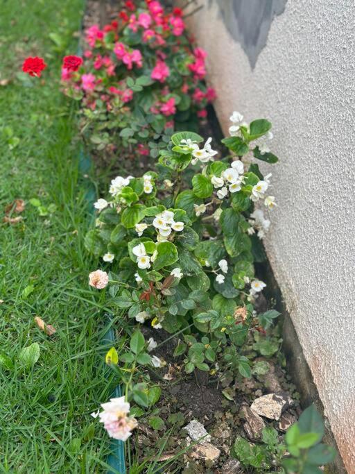 Apto da Felicidade - com jacuzzi e jardim privativo
