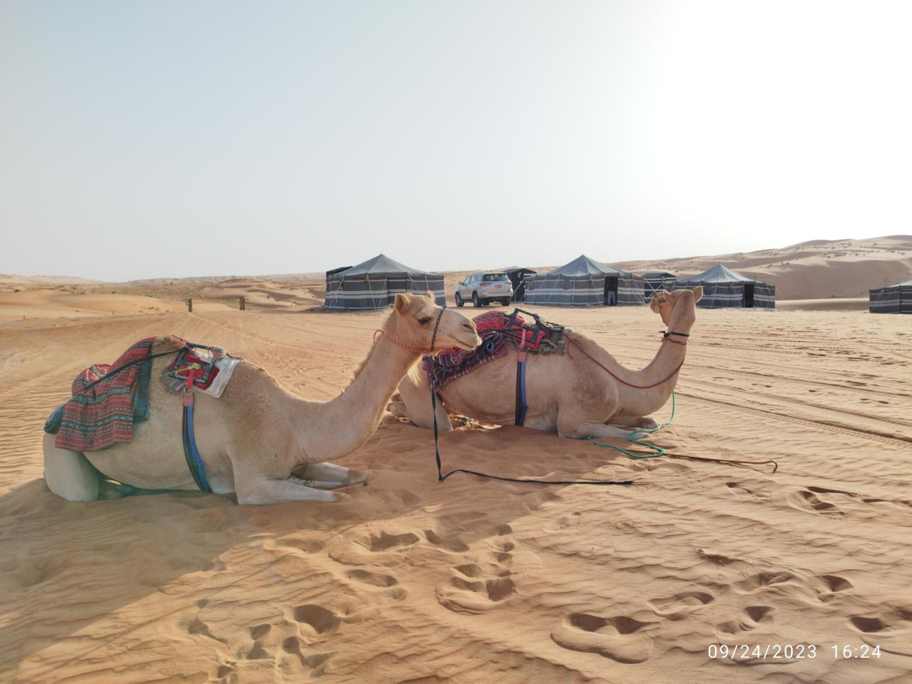 Sands Dream Tourism Camp
