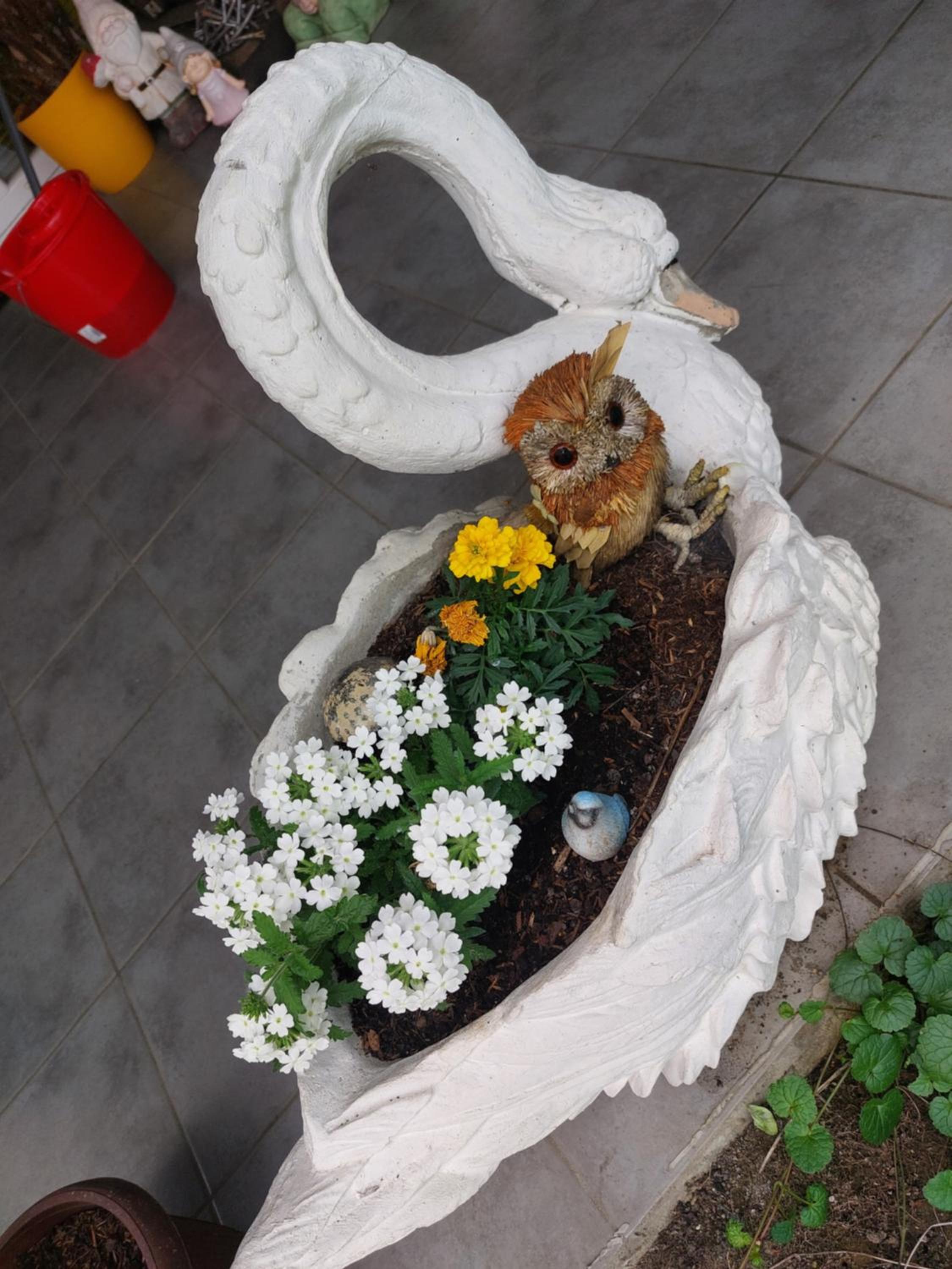 Queen house apartman