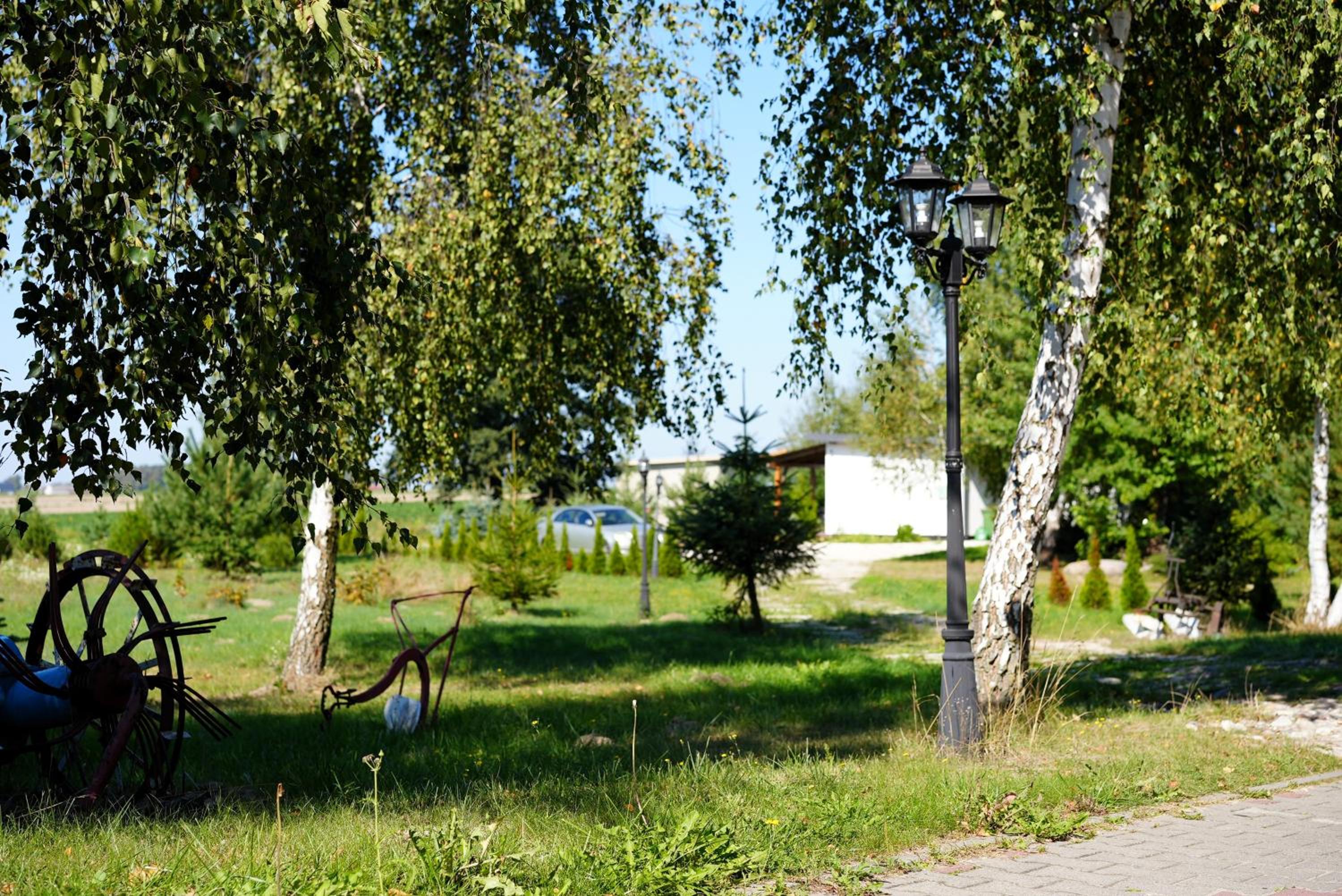 Photo 42