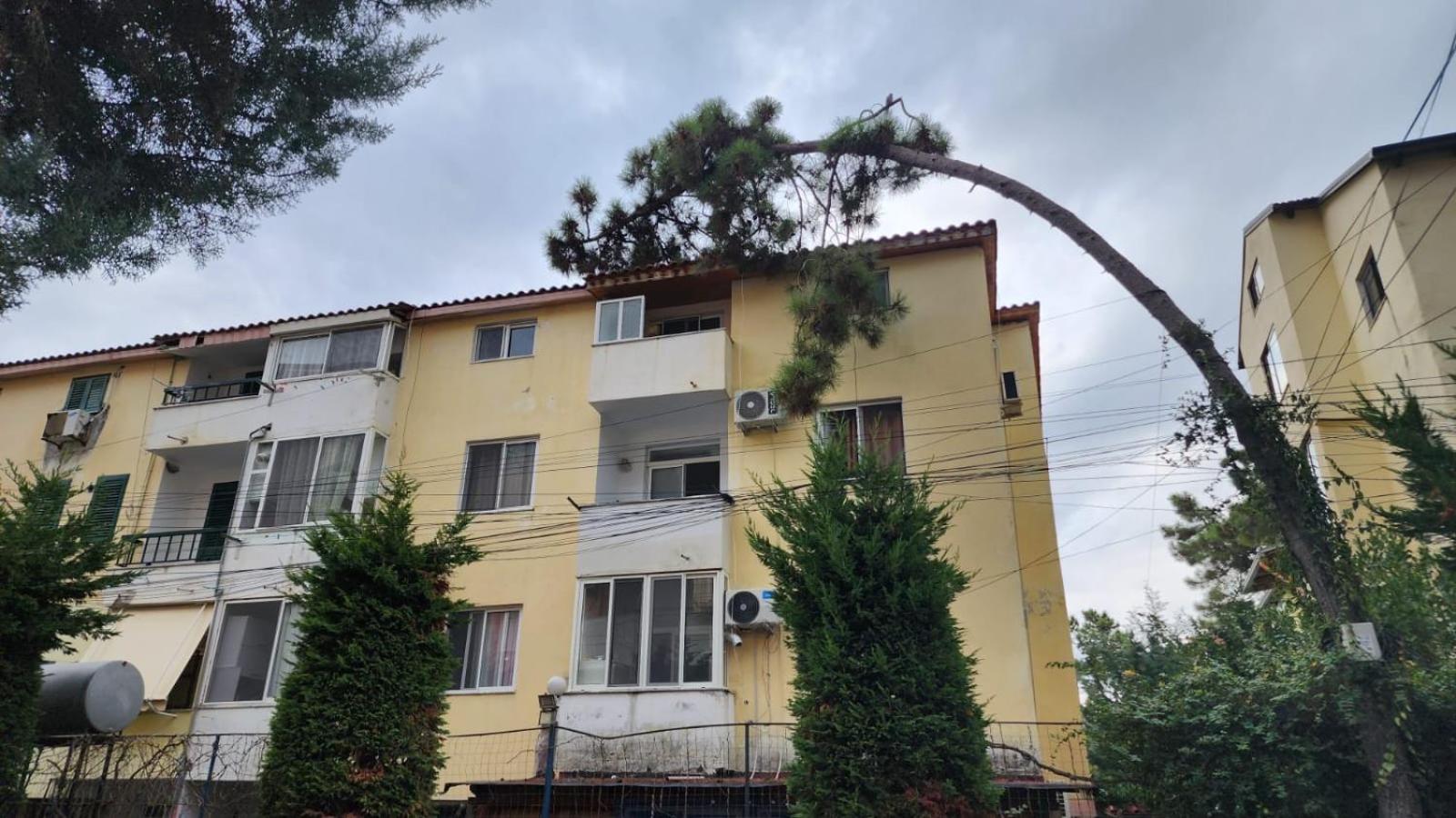 Apartment of Maks Golem Durres,Albania