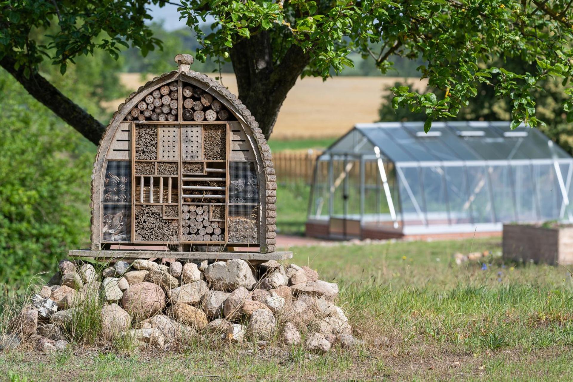 Ferienwohnungen - barrierefrei - im sanierten Gutshof