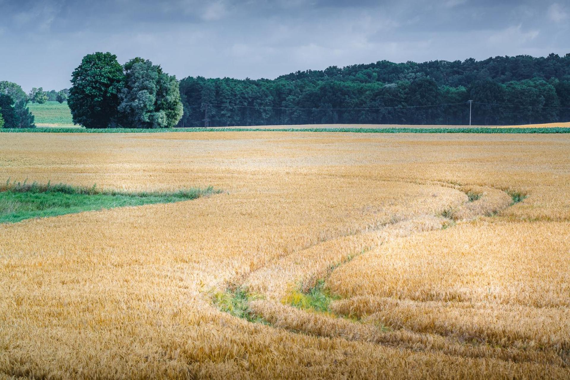 Ferienwohnungen - barrierefrei - im sanierten Gutshof