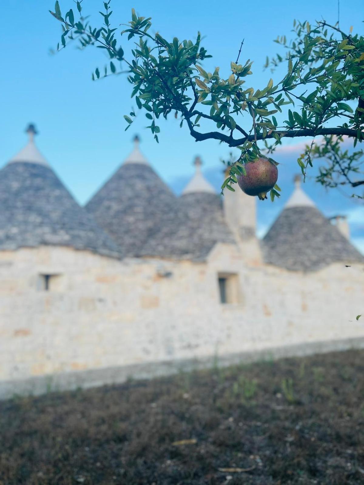 Scardino Trulli