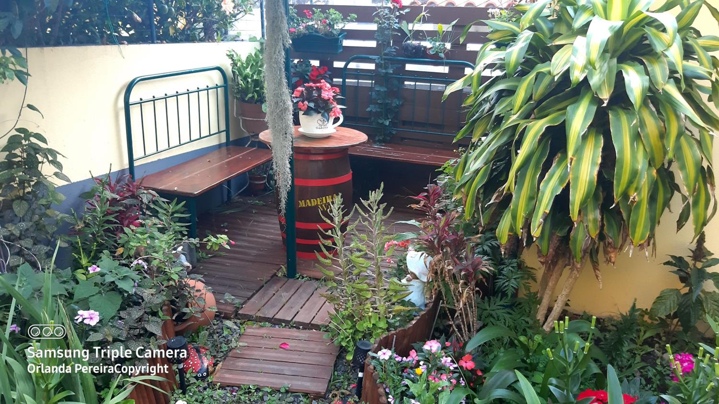 Terra Chã Cottage,FEEL Home, view 5