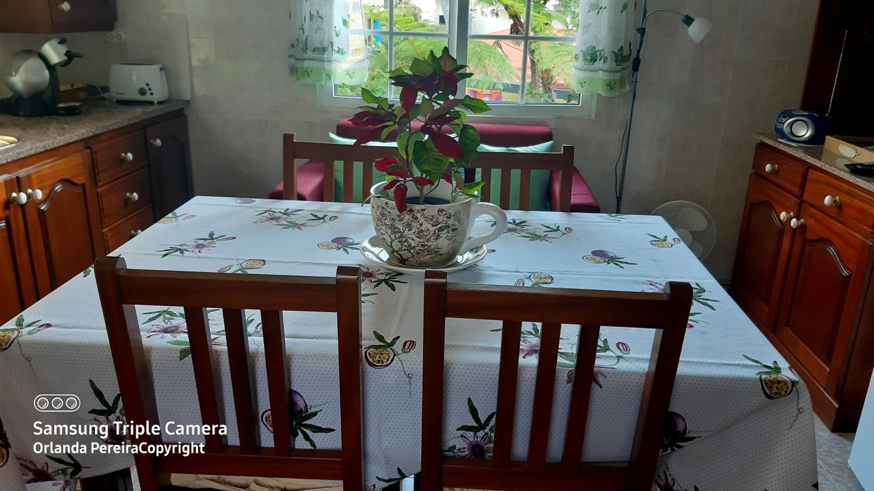 Terra Chã Cottage,FEEL Home, view 4