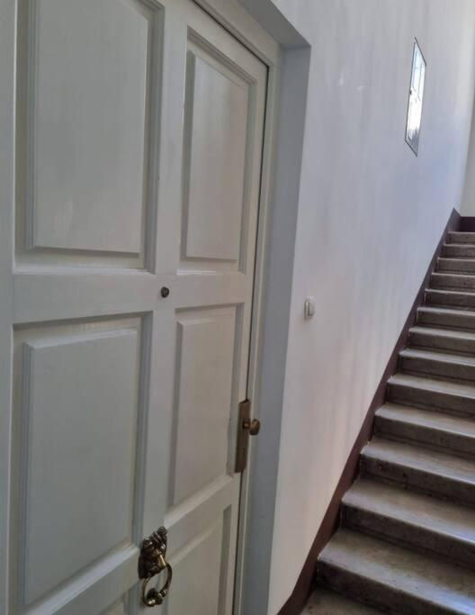 Enjoy in Zagreb Old Town with private penthouse terrace and greenary park view