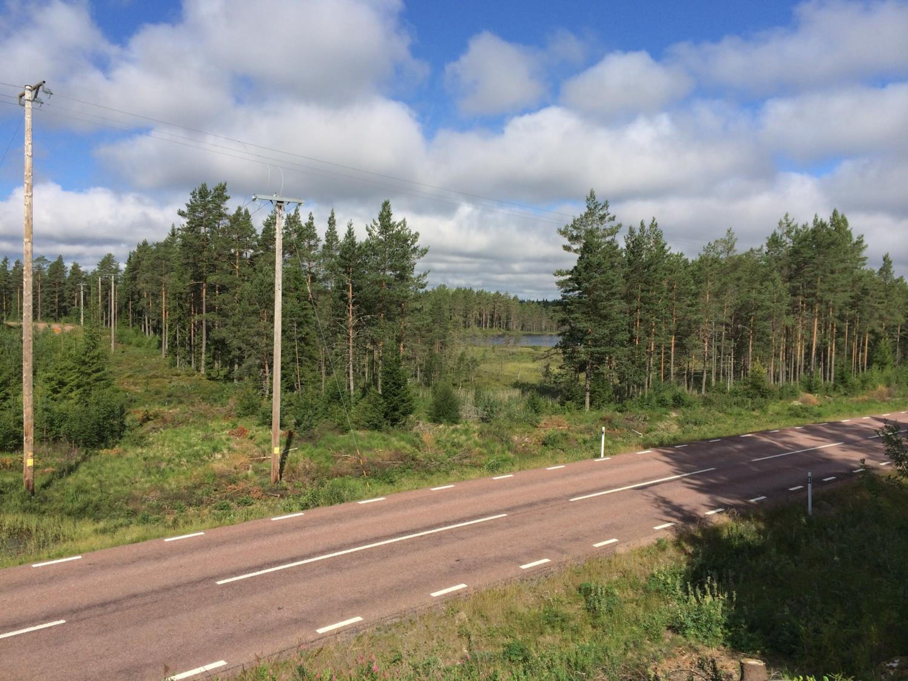 Photo 23