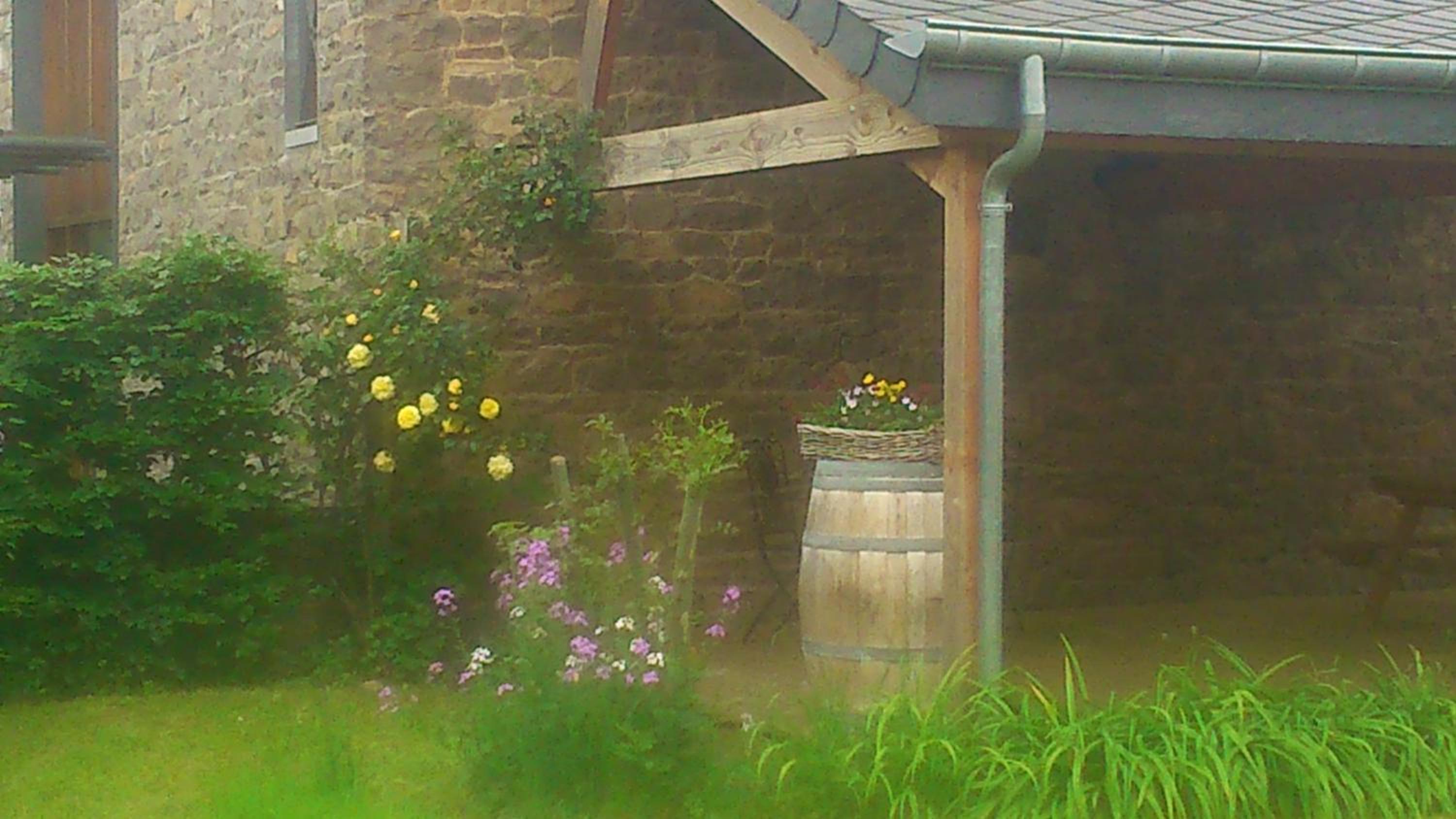 B&B Au Coeur de Villers