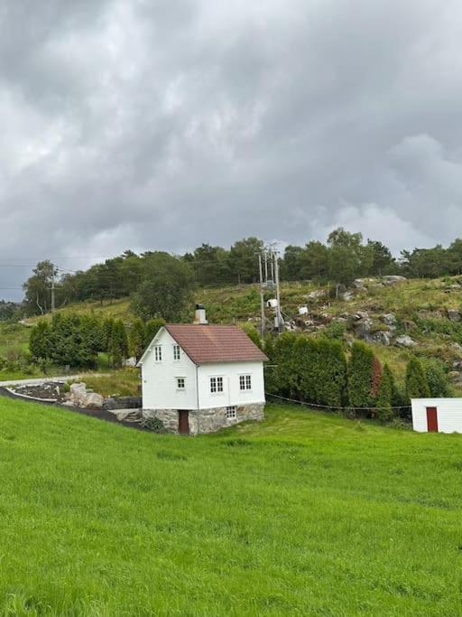Hus med båt og sjøhus view 4