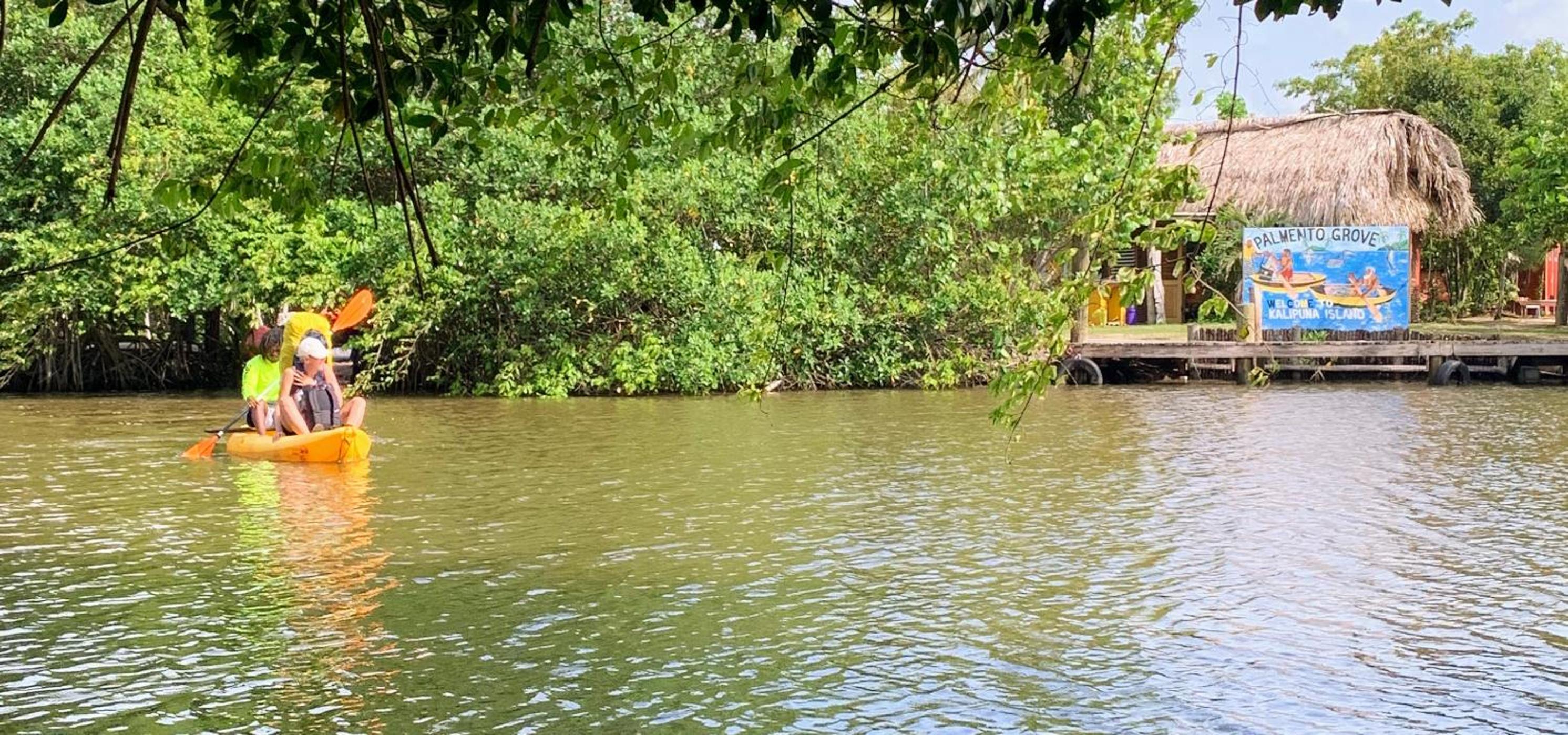 Palmento Grove Garifuna Eco-Cultural & Healing Institute