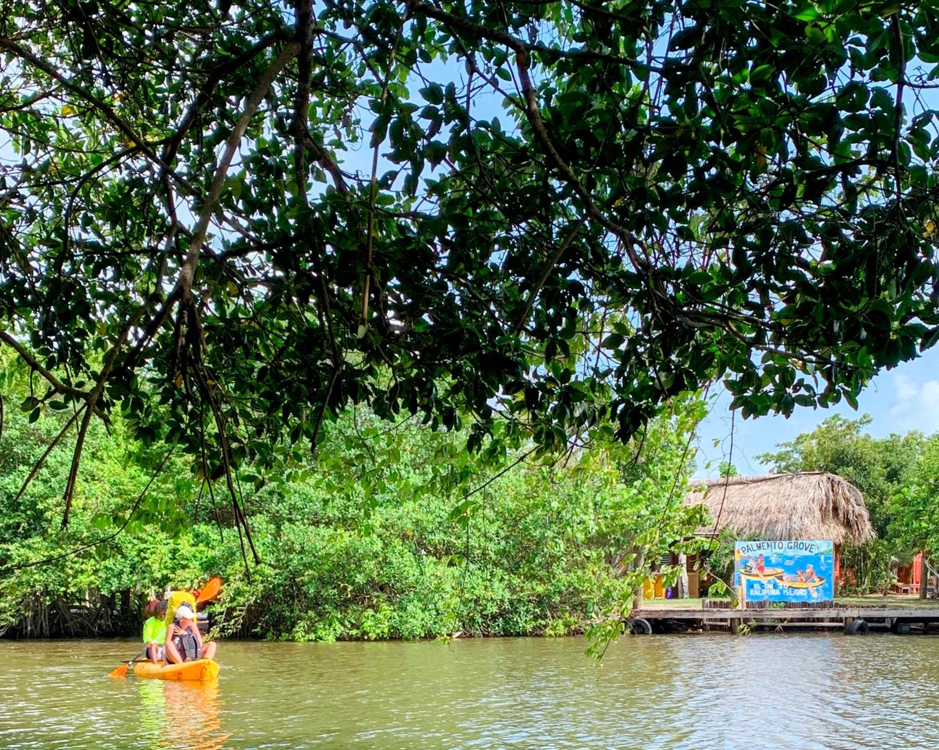 Palmento Grove Garifuna Eco-Cultural & Healing Institute