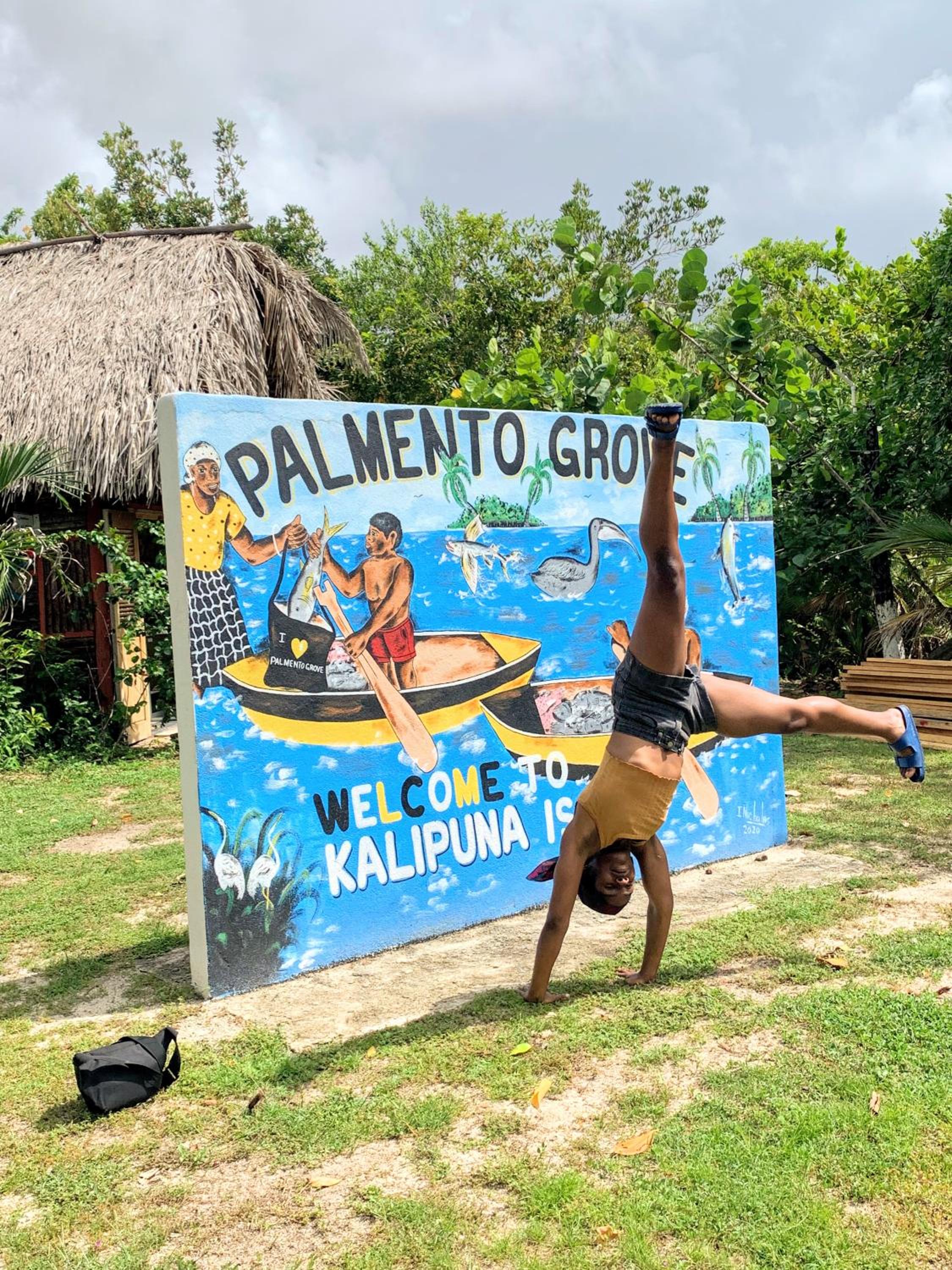 Palmento Grove Garifuna Eco-Cultural & Healing Institute