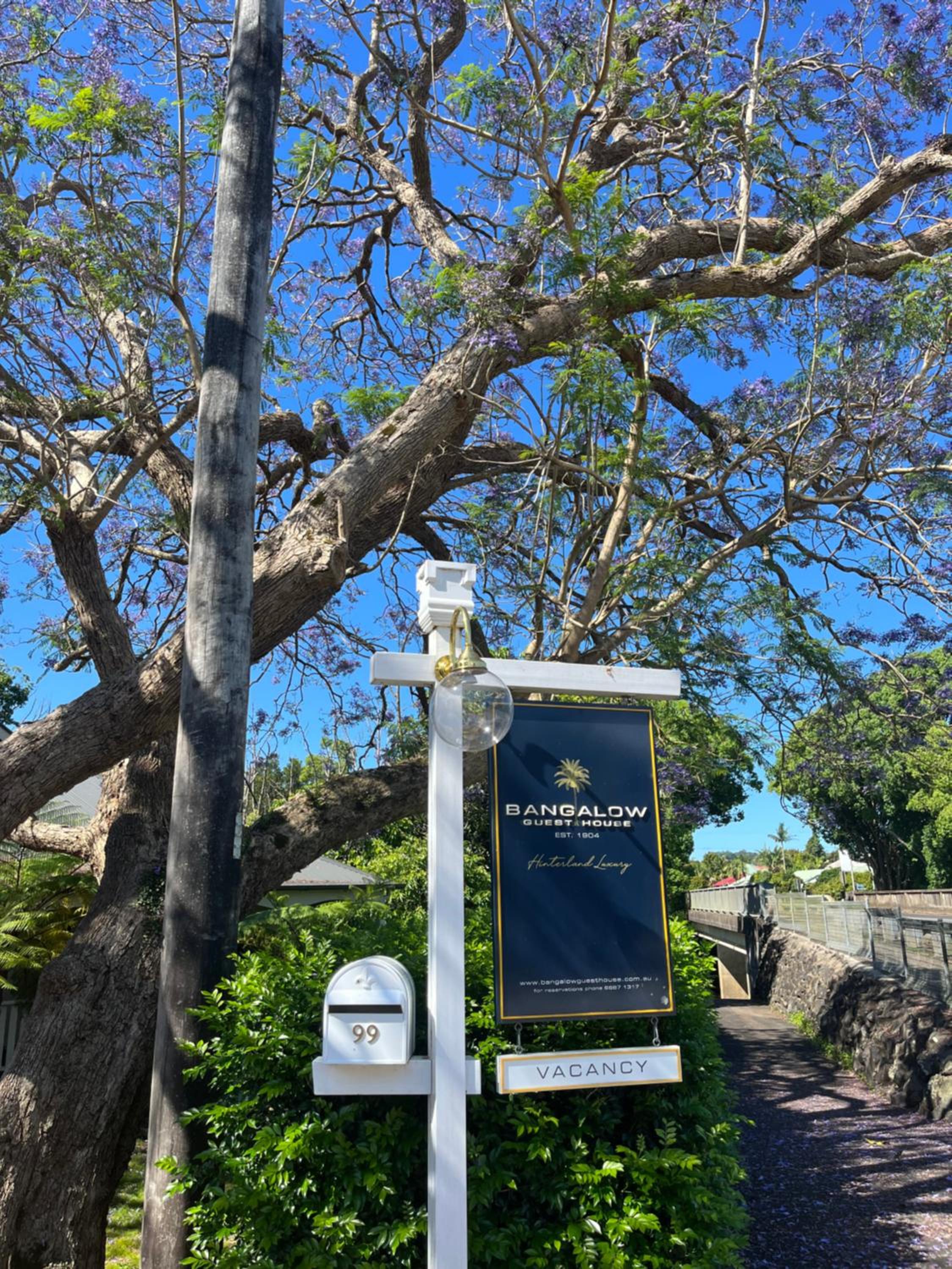 Bangalow Guesthouse