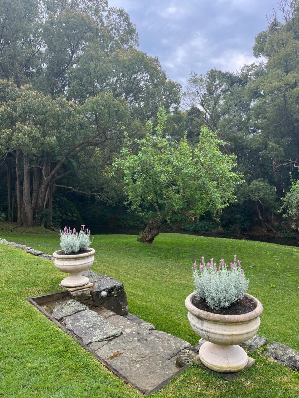 Bangalow Guesthouse