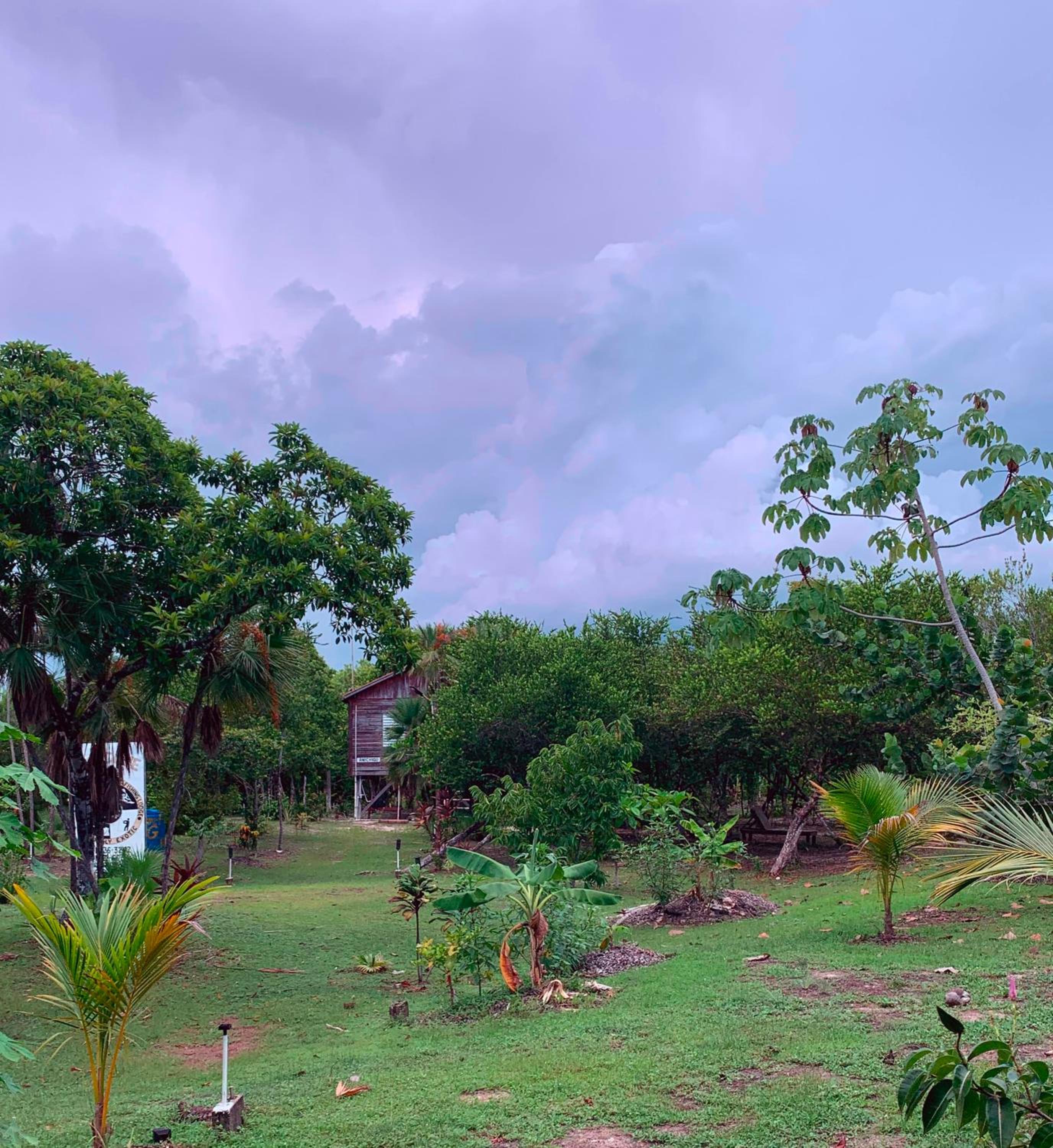 Palmento Grove Garifuna Eco-Cultural & Healing Institute