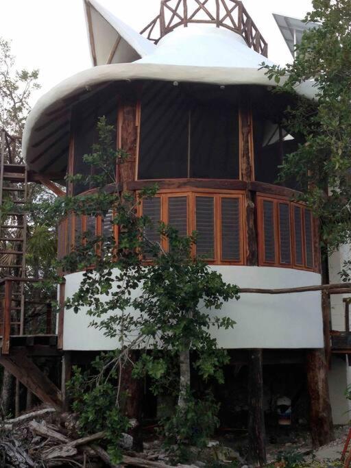 Exotic Eco House in Jungle with Private Cenote view 4