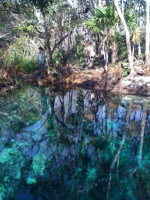 Exotic Eco House in Jungle with Private Cenote view 2