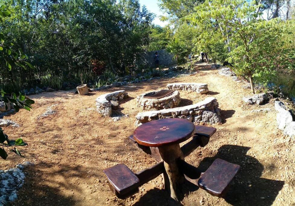 Photo 13