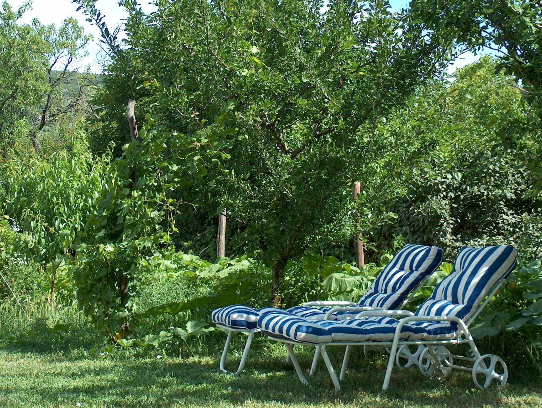 Rózsilak