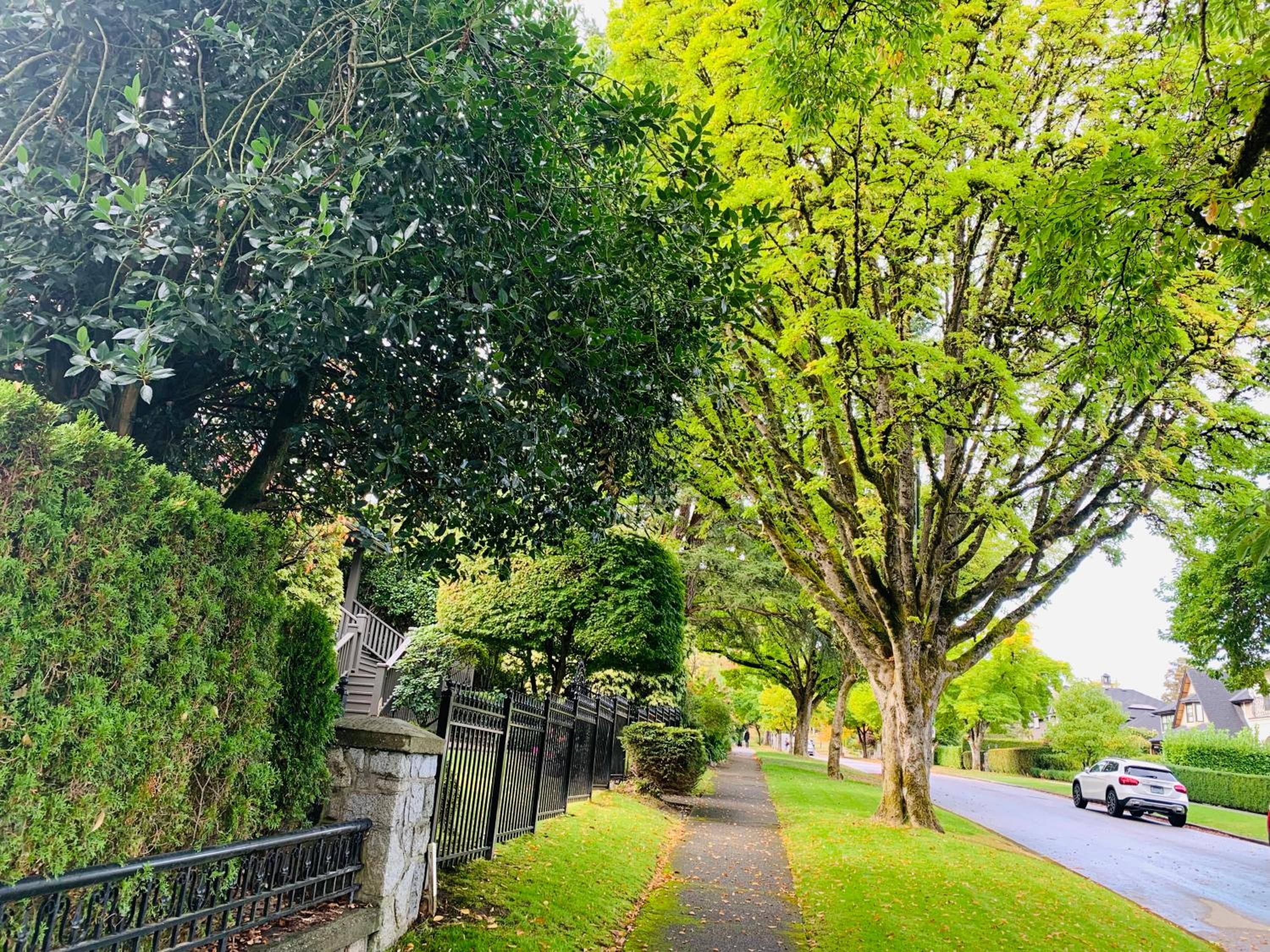 Three-Tree Villa-Central Location